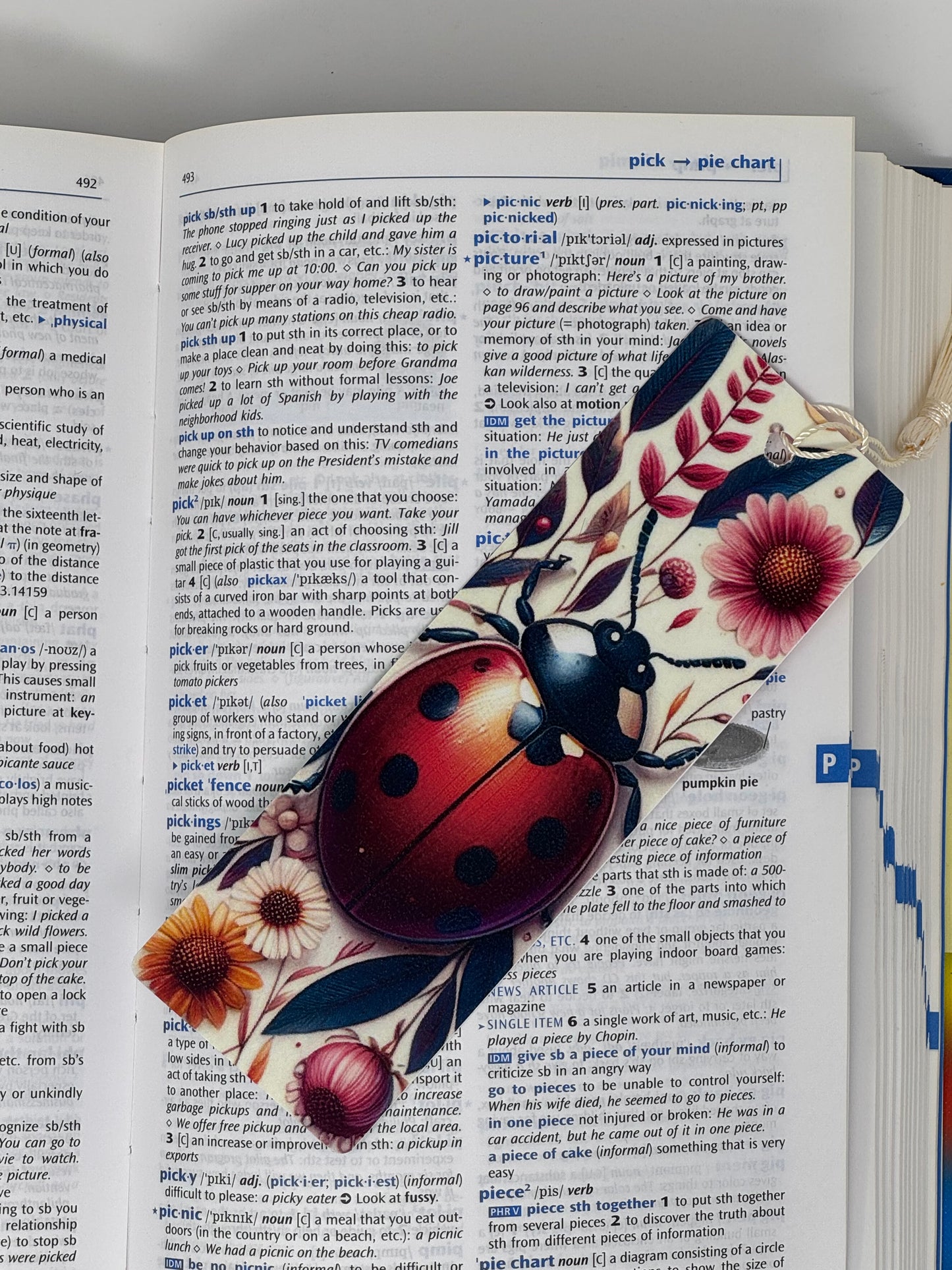 Ladybug Bookmark